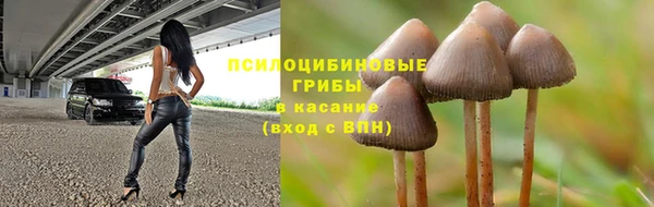 кокс Киреевск