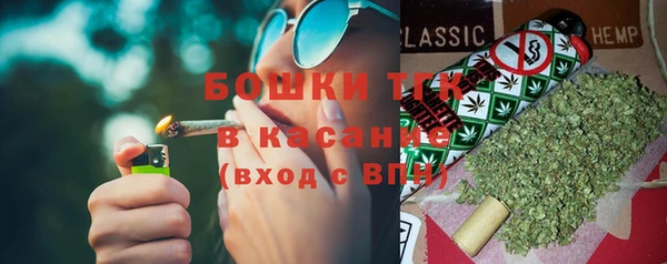 гидра Кинешма