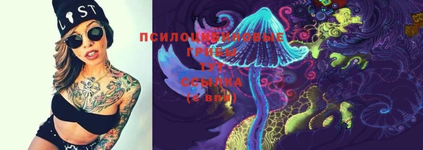 гидра Кинешма