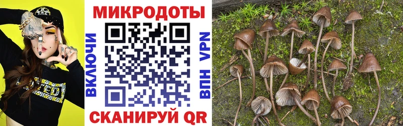 Купить закладки  Чегем  Галлюциногенные грибы Psilocybine cubensis 